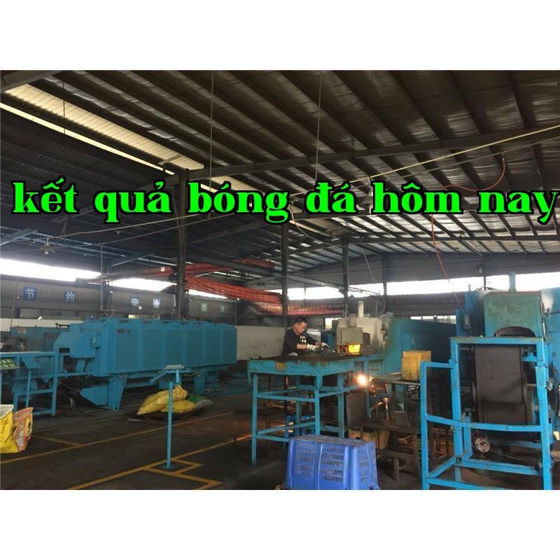 Sáu điều không được