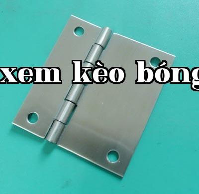 Stainless Steel Hinge,100x90x3