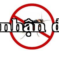 Công ty diệt mối tại Đà Nẵng hướng dẫn từng bước cách tiêu diệt những con gián khó chịu trong nhà hàng