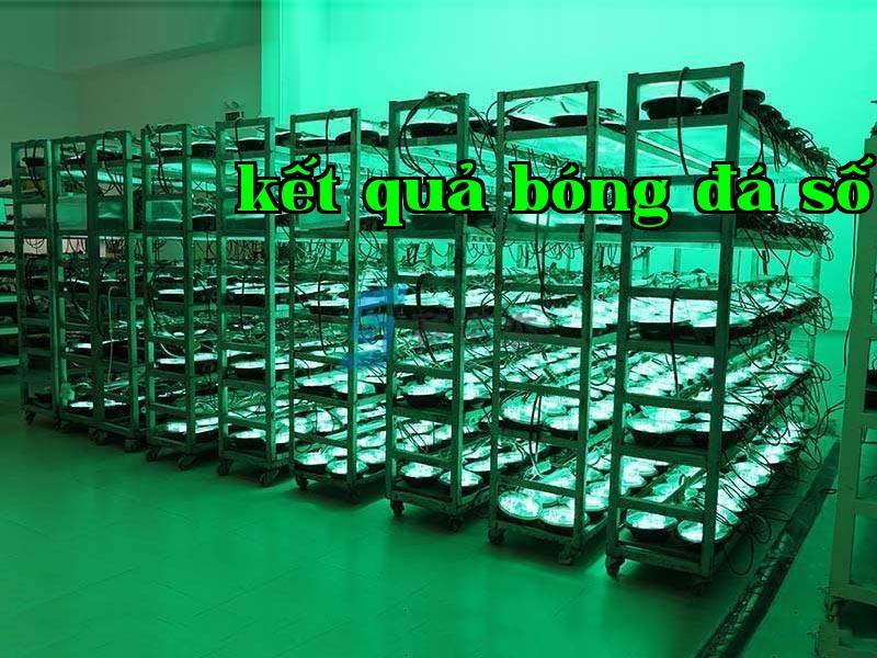 Nhà sản xuất đèn rửa tường đầy màu sắc giải thích tại sao cần chú ý đến hiệu suất sử dụng nguồn sáng