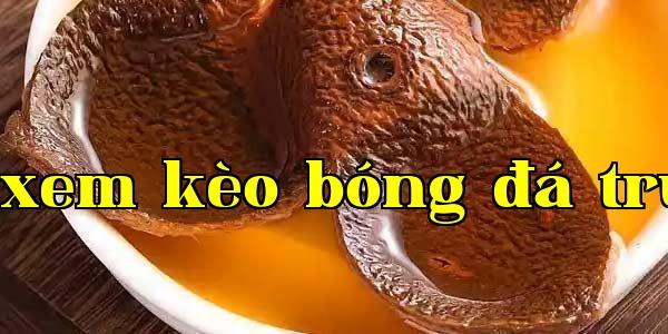 Một tách trà xuân lộ hương như vậy: Nghệ thuật pha trà của Hoa Diệp Niu