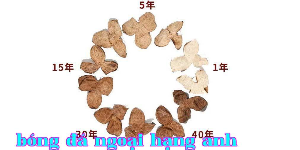 Hoa Diệp Niu chia sẻ sự khác biệt giữa các năm