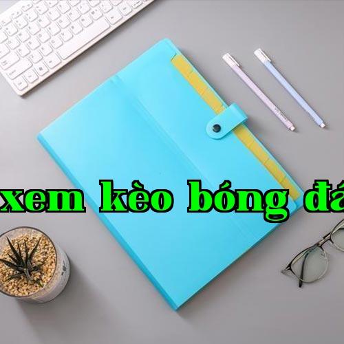 Giấy phép thương hiệu văn phòng phẩm