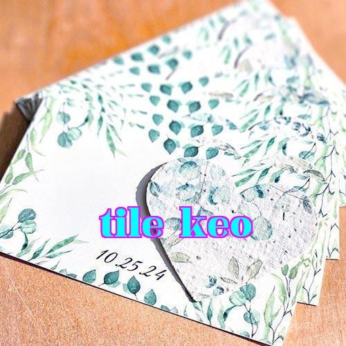 Giấy postcard | Giấy phép thương hiệu văn phòng phẩm