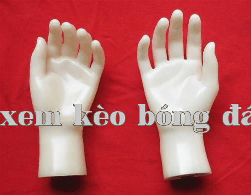 Việc sở hữu tay mẫu có những lợi ích gì, bạn biết bao nhiêu